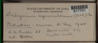 Image Associated With the Occurence